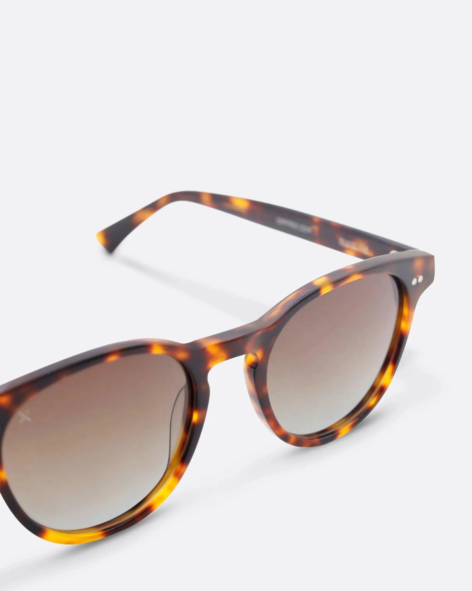 01 - TORTOISE sunglasses by OFFPRIX made of Italian Mazzucchelli™ acetate with ZEISS™ gradient polarized lenses