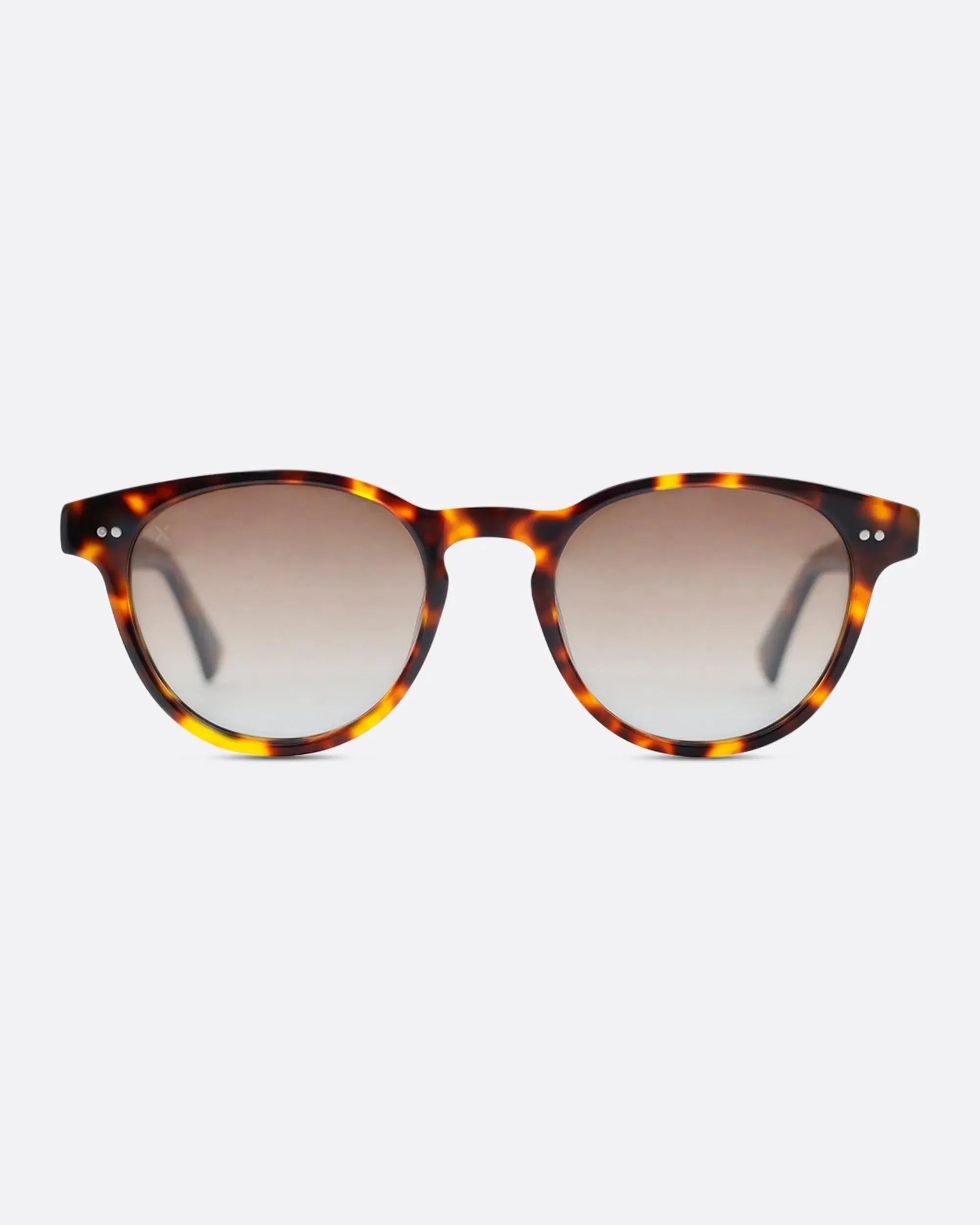 01 - TORTOISE sunglasses by OFFPRIX made of Italian Mazzucchelli™ acetate with ZEISS™ gradient polarized lenses