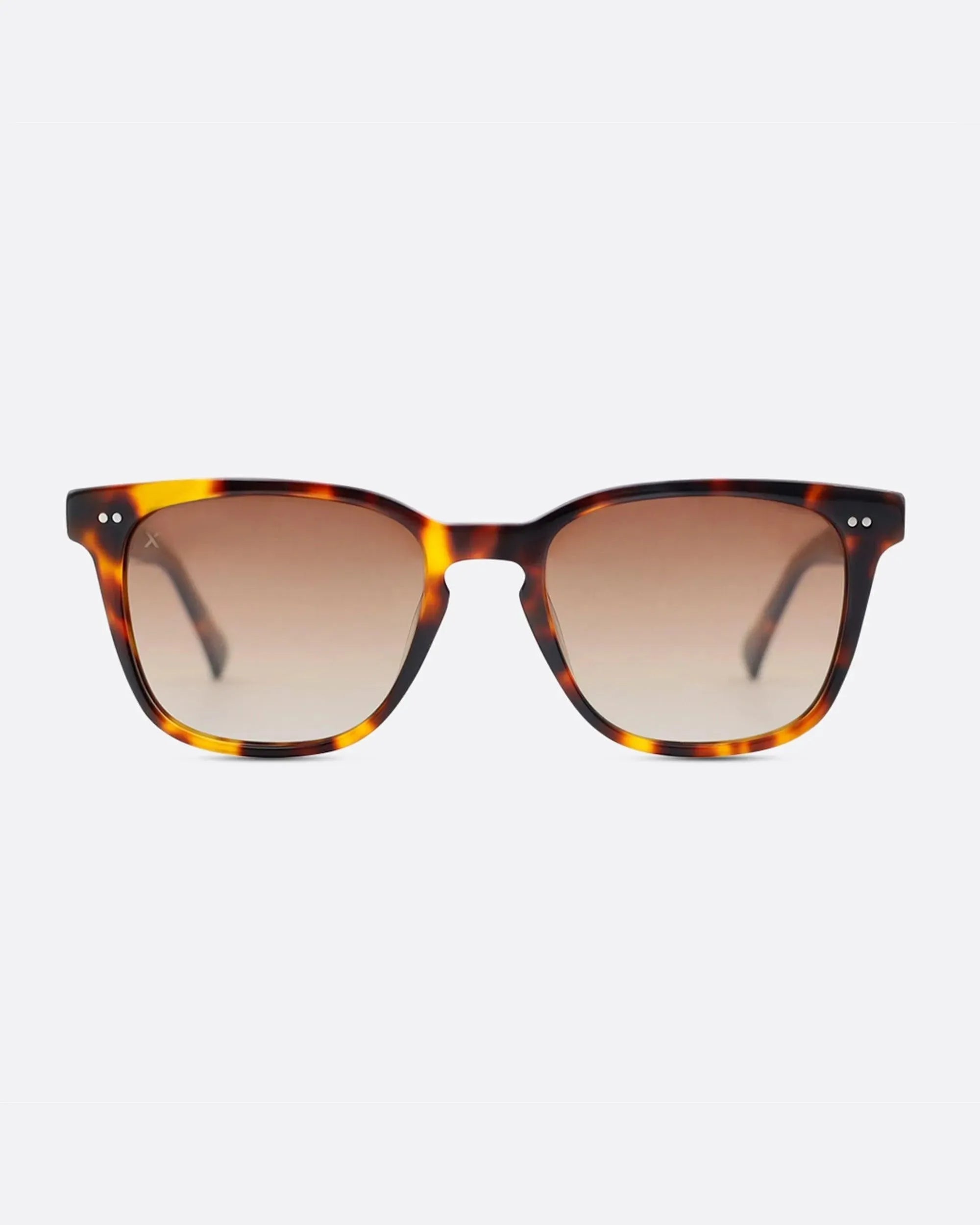 02 - TORTOISE sunglasses by OFFPRIX made of Italian Mazzucchelli™ acetate with ZEISS™ gradient polarized lenses